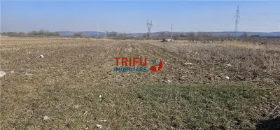 Teren de Vanzare Zona Soseaua De Centura ! - foto 2