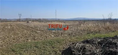 Teren de Vanzare Zona Soseaua De Centura ! - foto 3