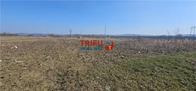 Teren de Vanzare Zona Soseaua De Centura ! - foto 4