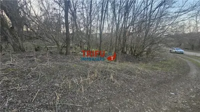 Teren Intravilan de Vânzare în Oarda - foto 1