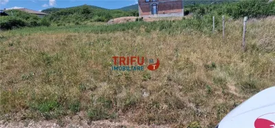 Teren in Podei de vanzare intravilan construibil - foto 1