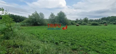 Oportunitate de Investiție: Teren 24000mp Intravilan Construibil în Galda de Jos - foto 8