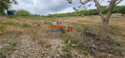 Teren Generos cu Panoramă Superbă în Valea Popii, Alba Iulia - Alba Iulia
