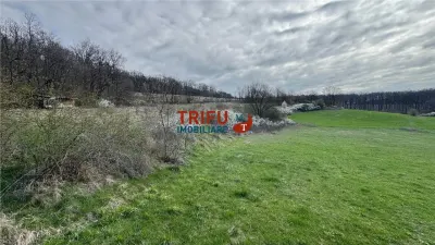 Teren de vanzare pentru cabana langa padure in Ampoita - Ampoita