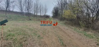 Teren de vanzare zona Ciugud - foto 11