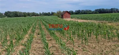 Teren intravilan de vanzare in Vint - Vintu de Jos