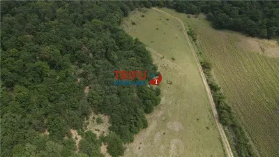 Teren cu priveliște și pădure pentru cabane de vânzare în suprafață de 5 ha - foto 2