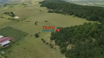 Teren cu priveliște și pădure pentru cabane de vânzare în suprafață de 5 ha - foto 6