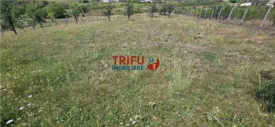Teren intravilan pretabil S+P+1, 1632 mp teren - Alba Iulia