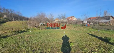 Oportunitate de Investiție: Teren Intravilan în Paclisa, Alba Iulia - foto 9