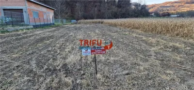 Teren Intravilan în Ampoița 1000mp - Ampoita