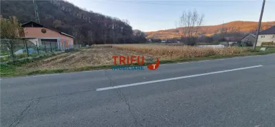 Teren Intravilan în Ampoița 1000mp - foto 4
