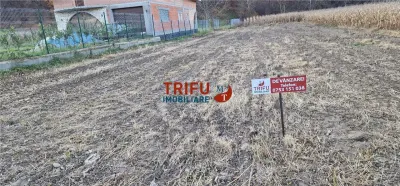 Teren Intravilan în Ampoița 1000mp - foto 8