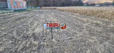 Teren Intravilan în Ampoița 1000mp - foto 9