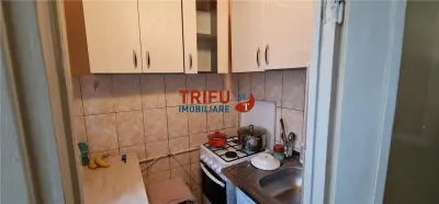 Garsoniera de vanzare zona Cetate - foto 7
