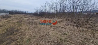 Teren pentru casă în zona Podei 1091mp - foto 1