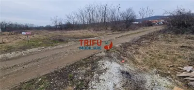 Teren pentru casă în zona Podei 1091mp - foto 7