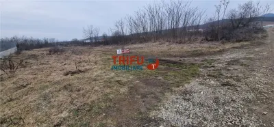 Teren pentru casă în zona Podei 1091mp - foto 8