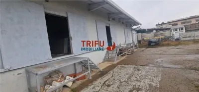 Oportunitate de Achiziție: Spațiu Industrial în Alba Iulia - foto 2