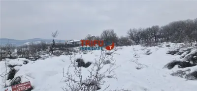 Teren de vanzare zona Podei - foto 10