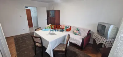 Garsoniera de inchiriat zona Cetae - foto 3