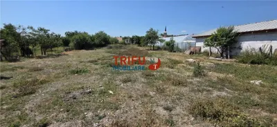 Casă individuală cu teren de 2398 mp în Cricău - foto 6