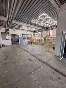 Spatiu industrial de inchiriat, 270 mp, 6 parcari, acces TIR - Cluj-Napoca