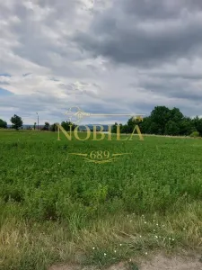 Teren intravilan de vanzare in Tg Trotus - foto 1