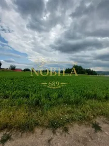 Teren intravilan de vanzare in Tg Trotus - foto 2