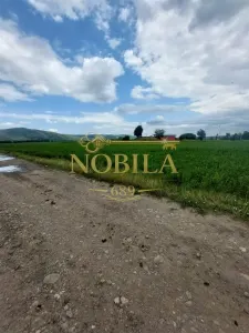 Teren intravilan de vanzare in Tg Trotus - foto 5