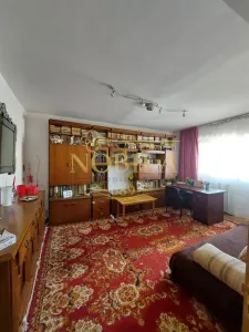 APARTAMENT 3 CAMERE ONESTI - foto 5