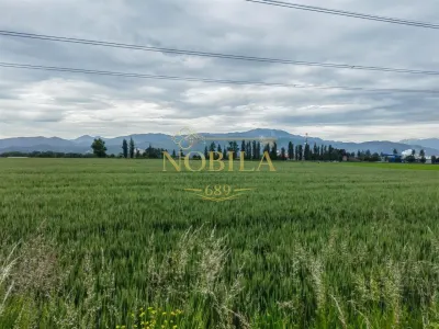TEREN  de vanzare GHIMBAV   7 ha - BRASOV - foto 1