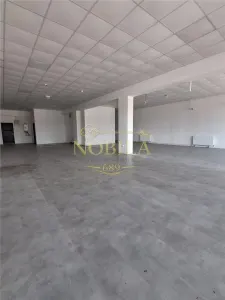 SPATIU COMERCIAL DE INCHIRIAT 230 MP IN ONESTI - foto 5