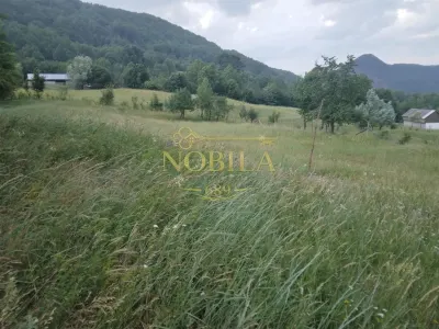 TEREN 2695 MP de vanzare in Statiunea TG OCNA - foto 4