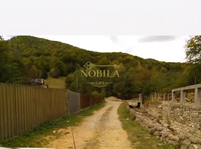 TEREN DE VANZARE IN SLANIC MOLDOVA - foto 3