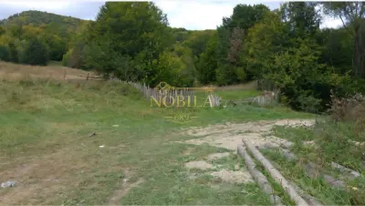 TEREN DE VANZARE IN SLANIC MOLDOVA - foto 4