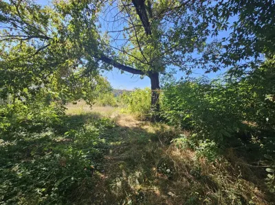 TEREN INTRAVILAN DE VANZARE ONESTI - foto 6
