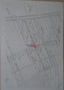 Vanzare teren intravilan Branesti Ilfov - Branesti
