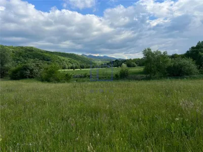 Teren de vanzare in Sibiu - ideal pentru cabane, 500 mp, Talmaciu - Sibiu
