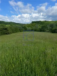 Teren de vanzare in Sibiu - ideal pentru cabane, 500 mp, Talmaciu - foto 5