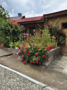 Casa extraordinara cu 2300mp teren in Bod, Brasov - Bod