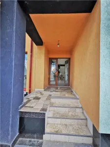 Vila Deosebita Rudicica - foto 18
