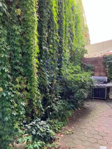 Spatiu de birouri de vanzare in Sibiu - Cladire integrala, zona Bulevardul Victoriei - foto 6