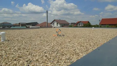 Casa pe Parter 3 Dormitoare Sanandrei - foto 9