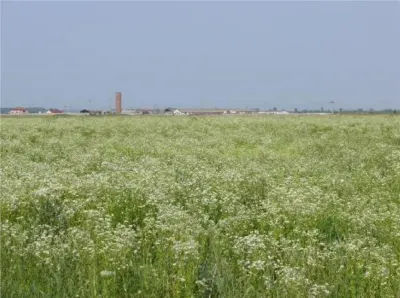 Teren 70 000 mp pretabil FOTOVOLTAIC de vanzare in Titu, jud Dambovita, negociabil - Titu