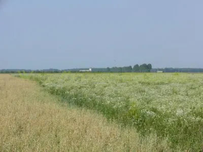 Teren 70 000 mp pretabil FOTOVOLTAIC de vanzare in Titu, jud Dambovita, negociabil - foto 4