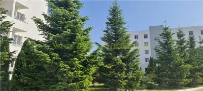 NOU! Apartament 3 camere, de vanzare, Buftea - foto 1