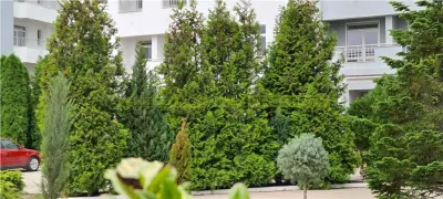 NOU! Apartament 3 camere, de vanzare, Buftea - foto 7