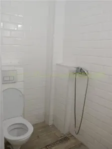 Spatiu comercial 200-350 mp,  inchiriere, zona Eminescu - foto 8
