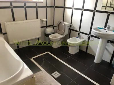 Vila cu caracter, interbelica, 9 camere, de vanzare - foto 14